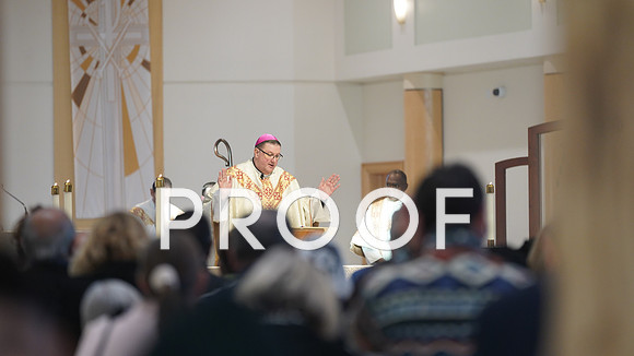 25-01 Jubilee Mass-0564