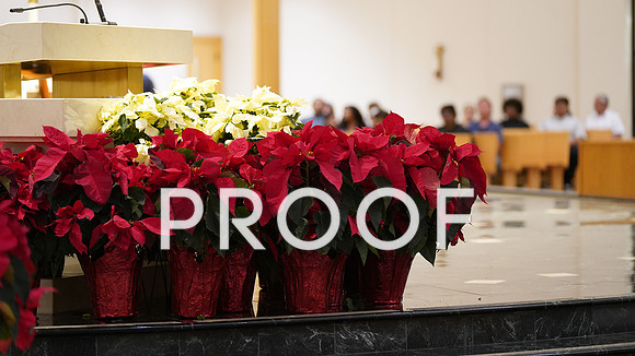 20251224-Christmas Eve DOSP-18012version3
