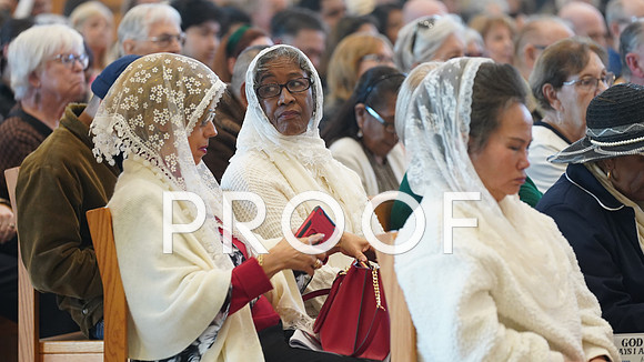 25-01 Jubilee Mass-0326