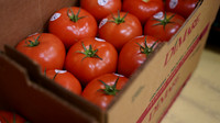 24-11 Thanksgiving Basket VMS-0002
