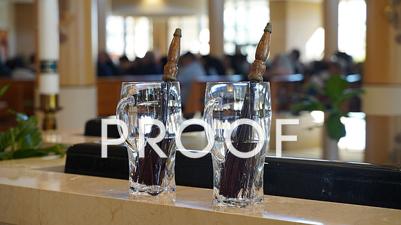 25-01 Jubilee Mass-0012